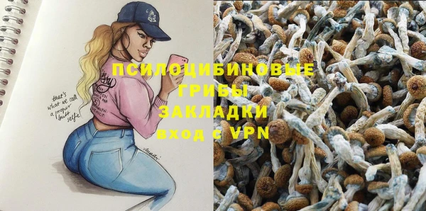 mdpv Новозыбков