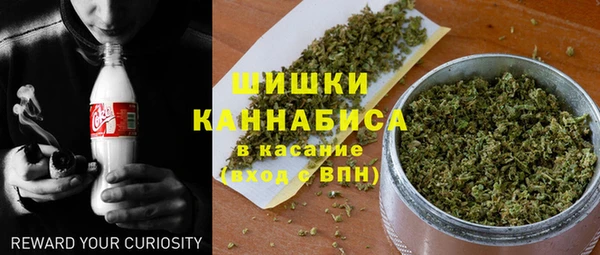 амф Фёдоровский