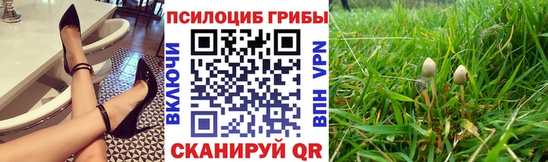 Псилоцибиновые грибы MAGIC MUSHROOMS  Осташков 